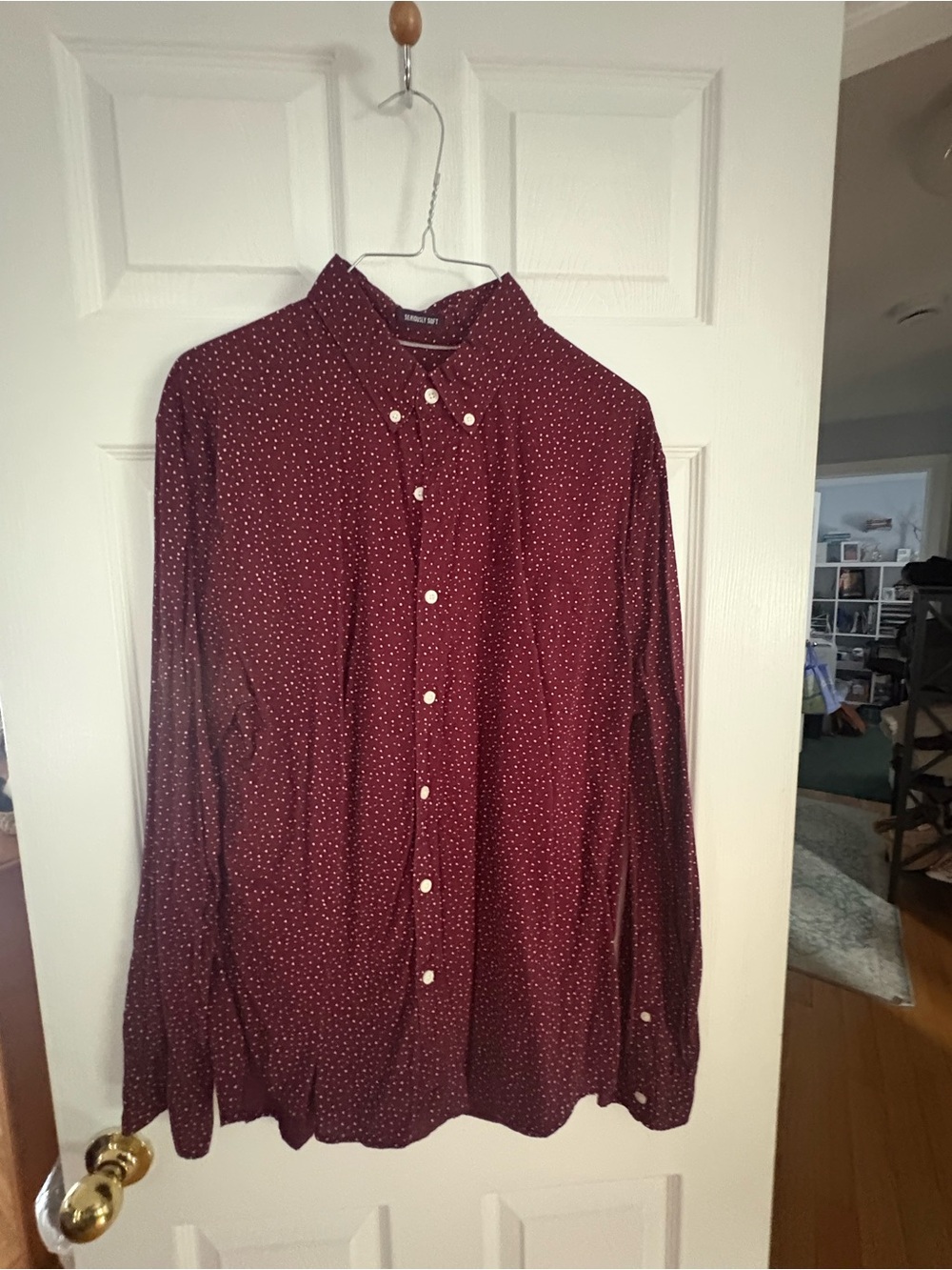 American Eagle Outfitters Men's Maroon Button-Down with Micro Dot Pattern
